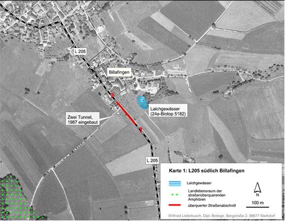 Situation an der L 205 südlich Billafingen (Kartengrundlage Orthophoto 05, unmaßstäblich verkleinert). 