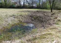 Situation an demselben Kleinstgewässer im Malereckried (Langenargen) nach der Entbuschung, April 2024. Foto: D. Doer, LEV Bodenseekreis.