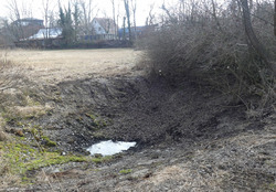 Die Situation an einem 2007 angelegten Kleinstgewässer im Malereckried (Langenargen) Kleinstgewässer vor der Umsetzung der Maßnahmen, Januar 2023. Foto: D. Doer, LEV Bodenseekreis.