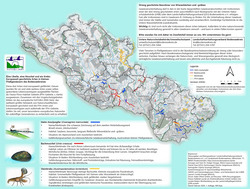 Auf der Rückseite des Faltblatts ist die Verbreitung der drei Arten im Bodenseekreis dargestellt. Karte/Layout: INULA.