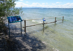Diese Besucherlenkungseinrichtungen am Bodenseeufer zwischen Hagnau und Immenstaad wurden zum Schutz gefährdeter Strandrasen-Pflanzenarten aufgebaut und werden bei der Exkursion aufgesucht. Foto: D. Doer. 