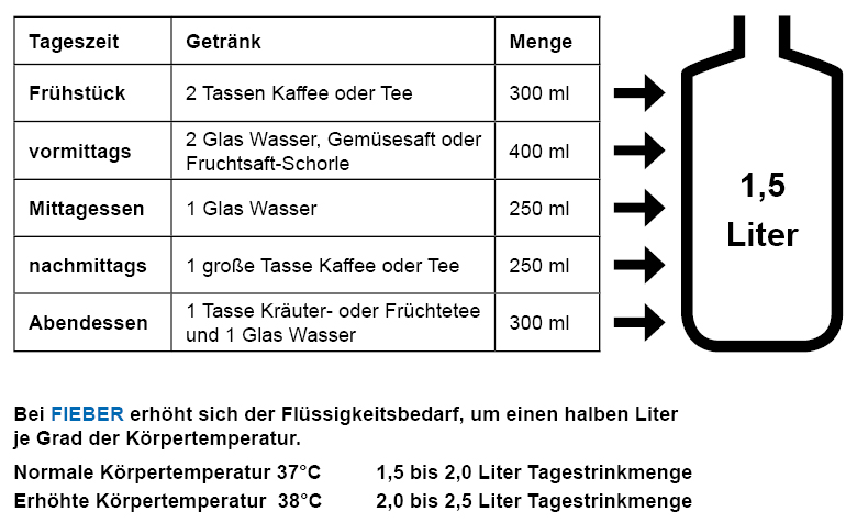 Beispiel für einen Trinkplan