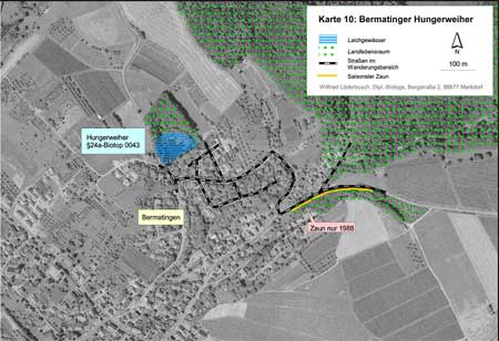 Situation am Bermatinger Hungerweiher (Kartengrundlage Orthophoto 50, unmaßstäblich verkleinert)