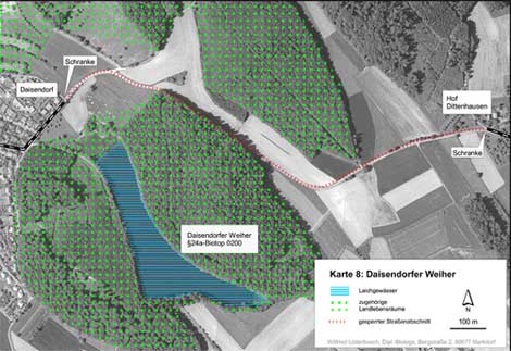 Situation am Daisendorfer Weiher (Kartengrundlage Orthophotos 37 und 38, unmaßstäblich verkleinert)