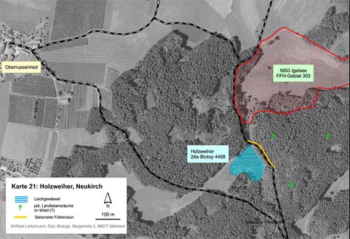 Situation am Holzweiher nordwestlich Neukirch (Kartengrundlage Orthophoto 61, unmaßstäblich verkleinert)