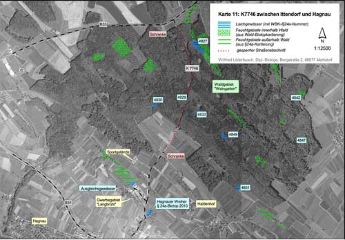 Situation im Waldgebiet Weingarten (Kartengrundlage Orthophotos 40 und 65, unmaßstäblich verkleinert; Lage und Abgrenzung der Feuchtgebiete entsprechend Waldbiotopkartierung und §24a-Kartierung)