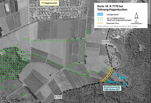 Situation an der K 7779 bei Tettnang-Hagenbuchen (Kartengrundlage Orthophoto 78, unmaßstäblich verkleinert)