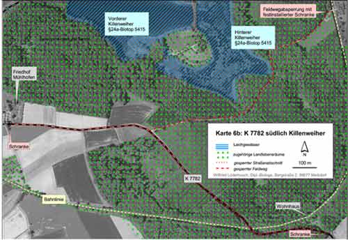 Situation südlich des Killenweihers (Kartengrundlage Orthophoto 34, unmaßstäblich verkleinert)