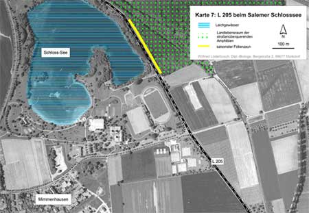 Situation am Salemer Schlosssee (Kartengrundlage Orthophotos 26 und 31, unmaßstäblich verkleinert)