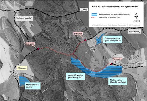 Situation an Martinsweiher und Markgräfinweiher (Kartengrundlage Orthophotos 29 und 30, unmaßstäblich verkleinert)