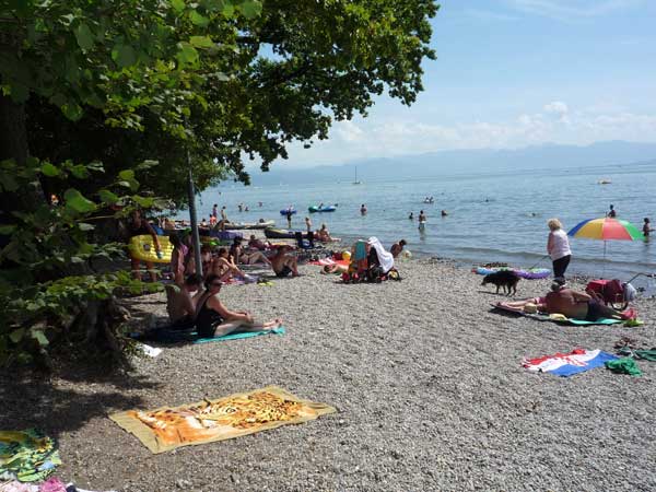 Campingplatz Gohren