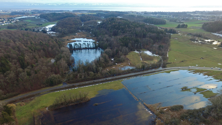 Die Raderacher Weiher im südöstlichen Projektgebiet. Der Südweiher ist dem Naturschutz gewidmet und  weist eine ausgedehnte Schilf- und Verlandungszone. (Foto: Wilfried Löderbusch)