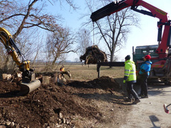 Errichtung des Hirschkäfermeilers im Naturschutzgebiet Argen. Foto: G. Odenwälder, Umweltschutzamt Bodenseekreis.