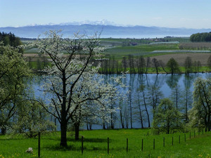 Schleinsee