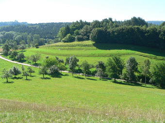 Landschaft am Drumlin Gegez im FFH-Gebiet „Bodensee-Hinterland bei Überlingen“