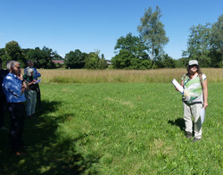 Frau Seif erklärt auf der frisch gemähten, wieder hergestellten FFH-Mähwiese die Bemühungen des LEV Bodenseekreis zur Rückholung von verloren gegangenen Mageren Flachland-Mähwiesen. Foto: D. Doer, LEV Bodenseekreis.