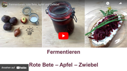 Fermentieren von Zwiebeln