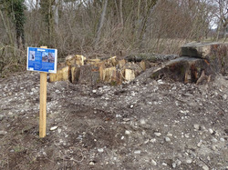 Fertiger Hirschkäfermeilers mit Informationstafel. Foto: D. Doer, LEV Bodenseekreis.