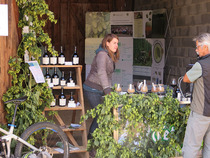 Apfelwandertag, Besucher informiert sich an einem Stand