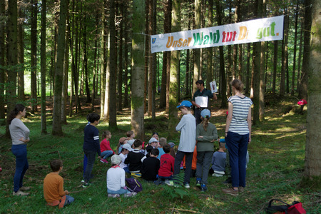 Kinder im Wald mit Waldpädagogen