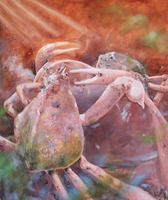 Vivien Ruxton - Crab Fight, 2020, Öl/Leinwand<br>Foto: © Florian Körner