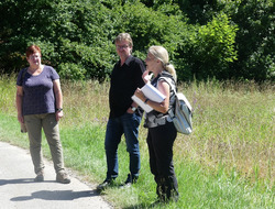 Erläutern die erfolgreiche Ausgleichsmaßnahme der Stadt Tettnang der Herstellung einer Magerwiese mittels Mähgutübertragung (v. l. n. r.): Frau Riether (Stadt Tettnang), Frau Dr. Schuckert (Landschaft 4.0) und Herr Friedemann (Planungsgruppe LandschaftsArchitektur+ Ökologie). Foto: D. Doer, LEV Bodenseekreis.