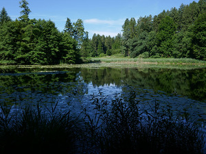 Jägerweiher