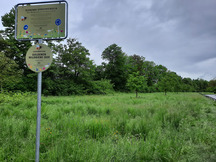 Jahr 2020: B 31 in Friedrichshafen-Kitzenwiese (Streuobstwiese)