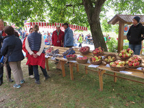 Apfelwandertag, Besucher an einem Stand