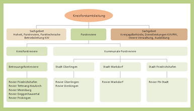 Schaubild Organisation Forstamt