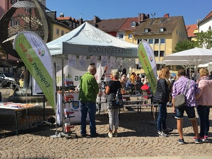 Netzwerk mit Info-Stand in Friedrichshafen