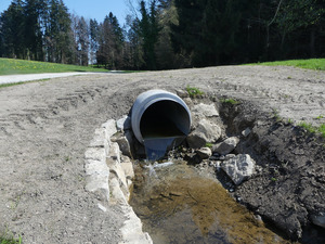Die untere der beiden eingebauten Krebssperren – der Absturz sorgt dafür, dass die amerikanischen Signalkrebse nicht bachaufwärts wandern können, März 2025. Foto: D. Doer, LEV Bodenseekreis.