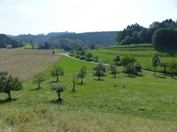 Vielgestaltige Landschaft bei Owingen, in der durch Biotopverbundmaßnahmen die Vernetzung von Lebensräumen noch verbessert werden kann. Foto: J. Seif, LEV Bodenseekreis.