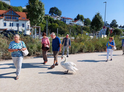 Deutsch-Polnischer Freundeskreis am Bodensee e. V. besucht die Landesgartenschau 