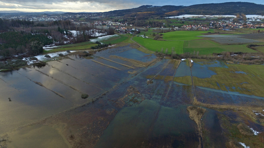 Blick auf das nördliche Projektgebiet im Frühjahr 2019. Schön zu erkennen sind die vernässten Niedermoorflächen. (Foto: Wilfried Löderbusch)