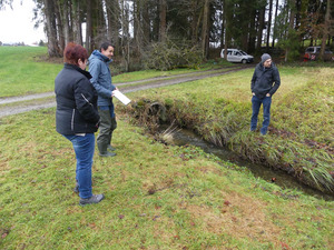 Zum Schutz der neu gefundenen Steinkrebs-Population vor der Einwanderung des Signalkrebses wurde in diesem Bach direkt Ende 2023 mit der Planung von Krebssperren begonnen - hier ein Ortstermin mit Ursula Riether (Stadt Tettnang), Christian Günter (Büro gobio) und Thomas Bechter-Wild (Amt für Wasser- und Bodenschutz, LRA Bodenseekreis) (v.l.n.r.), Dezember 2023. Foto: Th. Ueber, LEV Bodenseekreis.