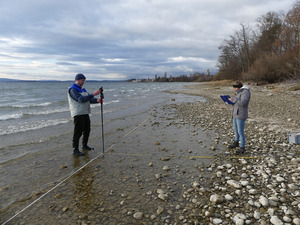 Gunnar Franke (links) und Irene Strang von der Arbeitsgruppe Bodenseeufer (AGBU) vermessen zwanzig Profile am Bodenseeufer zwischen Hagnau und Immenstaad, Dezember 2024. Foto: D. Doer, LEV Bodenseekreis.