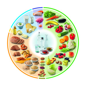 DGE-Ernährungskreis