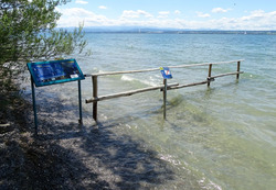 Diese Besucherlenkungseinrichtungen am Bodenseeufer zwischen Hagnau und Immenstaad wurden zum Schutz gefährdeter Strandrasen-Pflanzenarten aufgebaut und werden bei der Exkursion aufgesucht. Foto: D. Doer. 