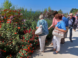 Deutsch-Polnischer Freundeskreis am Bodensee e. V. besucht die Landesgartenschau 